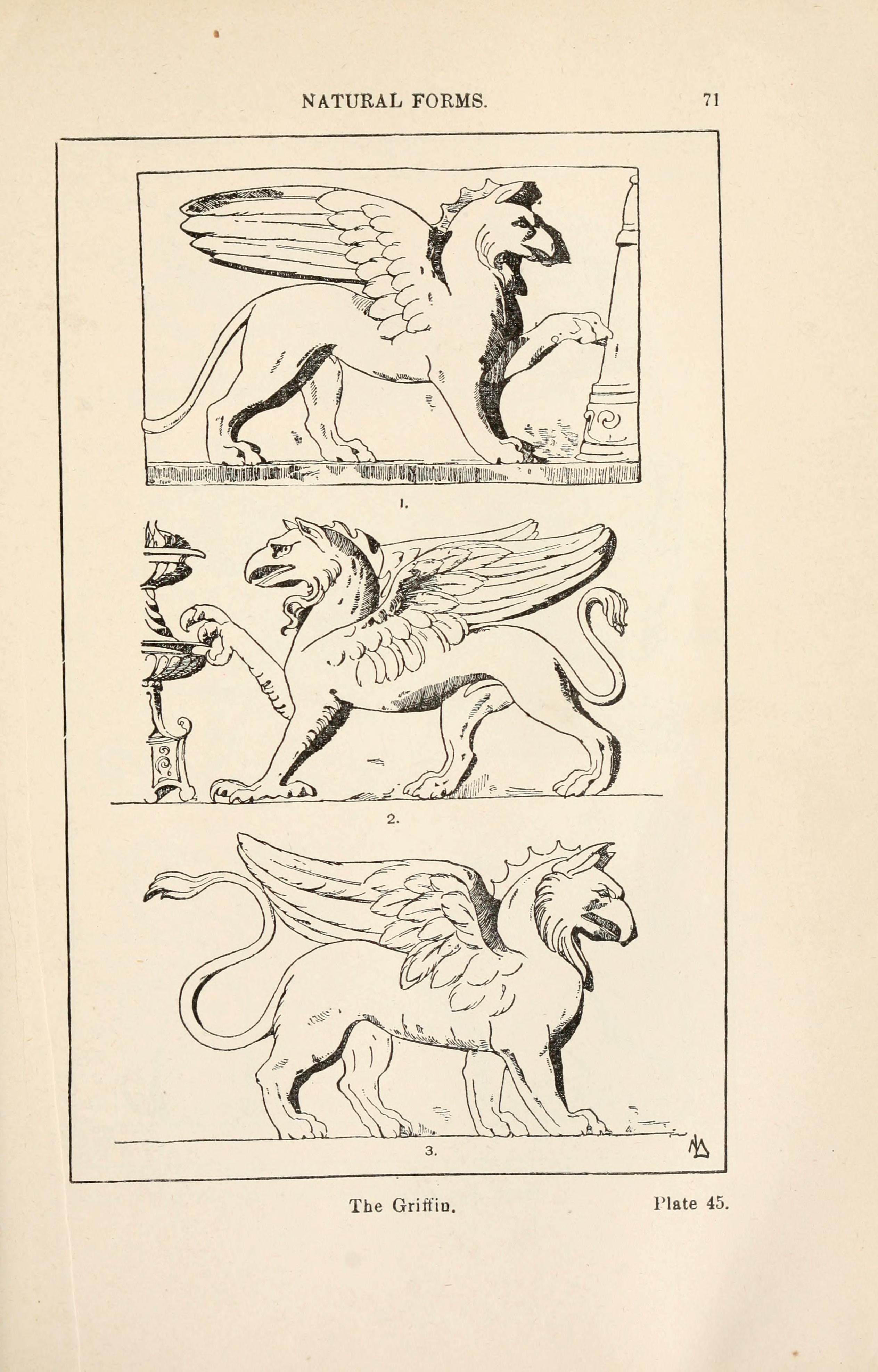 The Griffin, and the Chimaera：Meyer原典 図版45