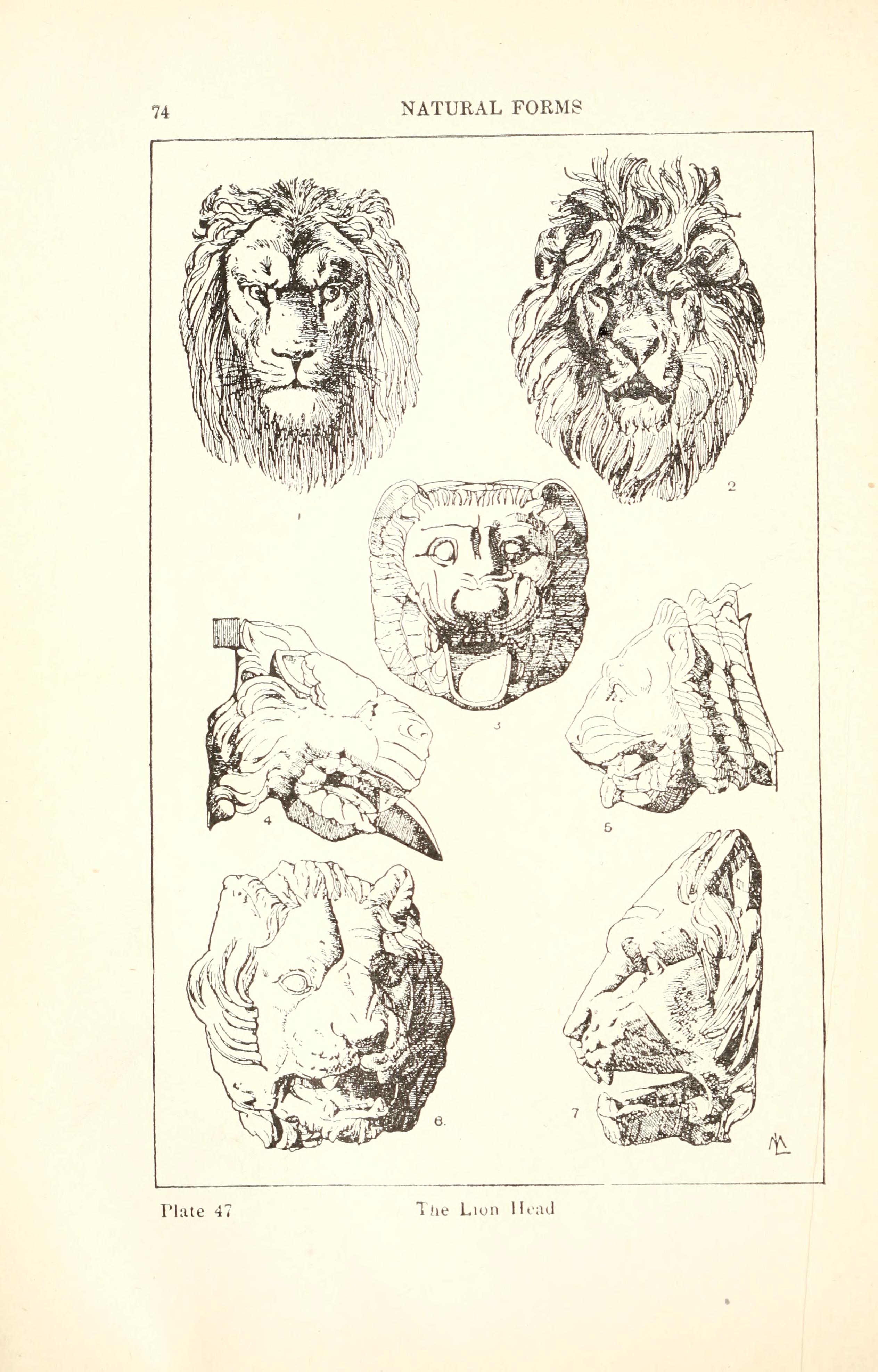 The Lion Head：Meyer原典 図版47