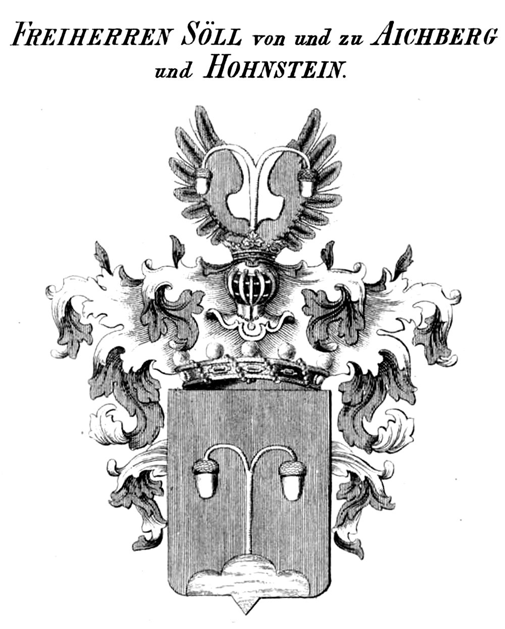 Söll-Aichberg-Wappen Ty — Tyroff オーストリア君主国紋章集の原図