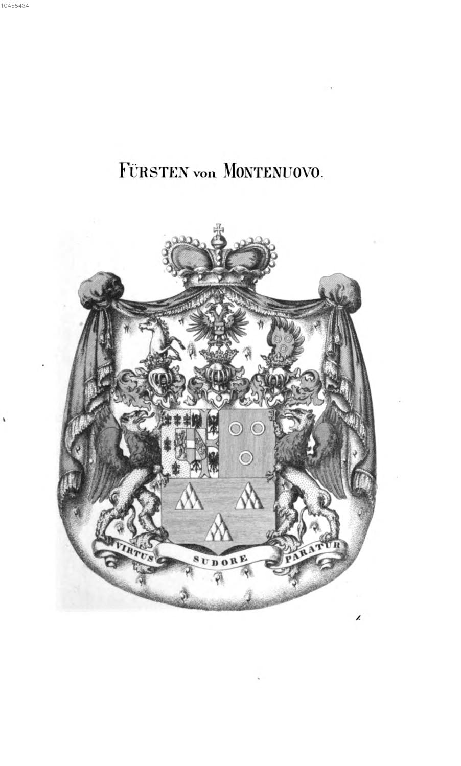 Montenuovo 3 — Tyroff オーストリア君主国紋章集の原図