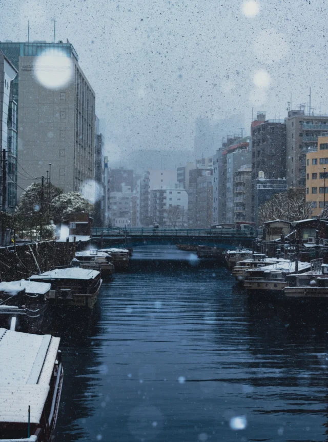 11th Avenue - 知を紡ぐ