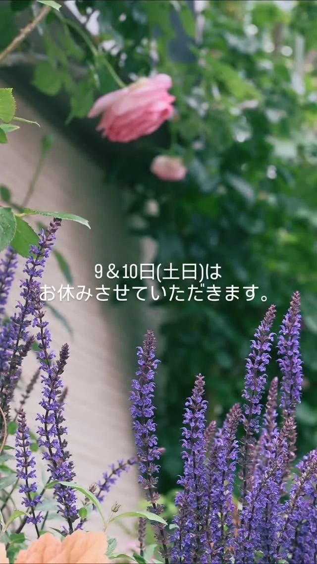 11th Avenue - 知を紡ぐ